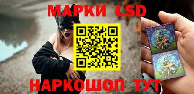 гидра Будённовск