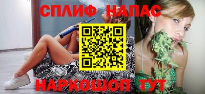 гидра Будённовск