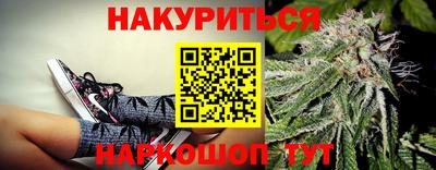 гидра Будённовск