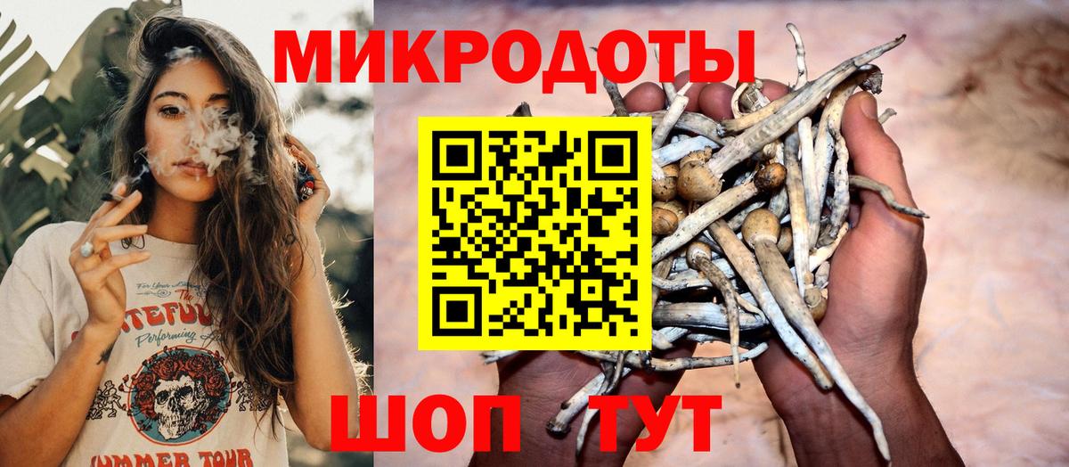 Псилоцибиновые грибы Cubensis  Вход с VPN  Учалы 